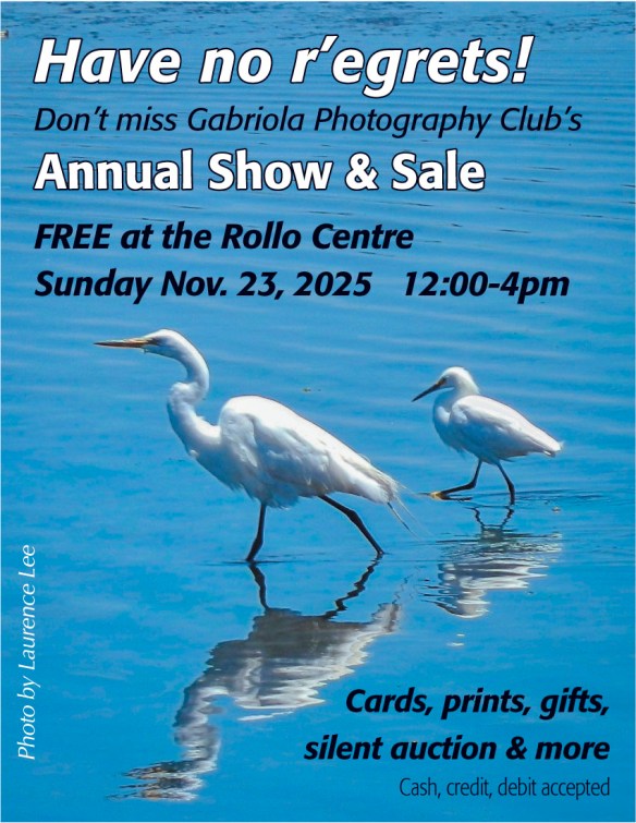 Poster with two egrets walking along in shallow water against a blue background.