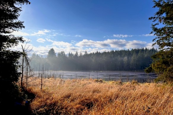 View of a pond with forest on the other side and blue sky with cumulous clouds in the background.