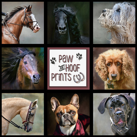 A collage of photographic prints of headshot portraits of dogs and horses, entitled "Paw and Hoof Prints".